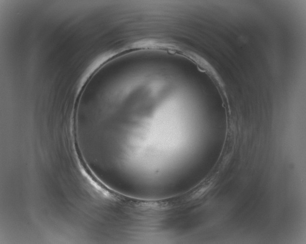 X0000081300855200701111423