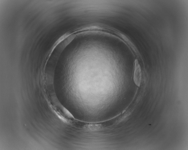 X0000081300858200701111423