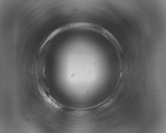 X0000081300860200701111423