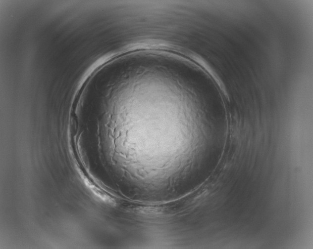 X0000081300861200701111423