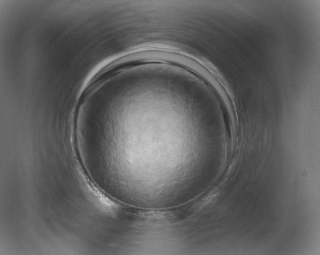 X0000081300862200701111423