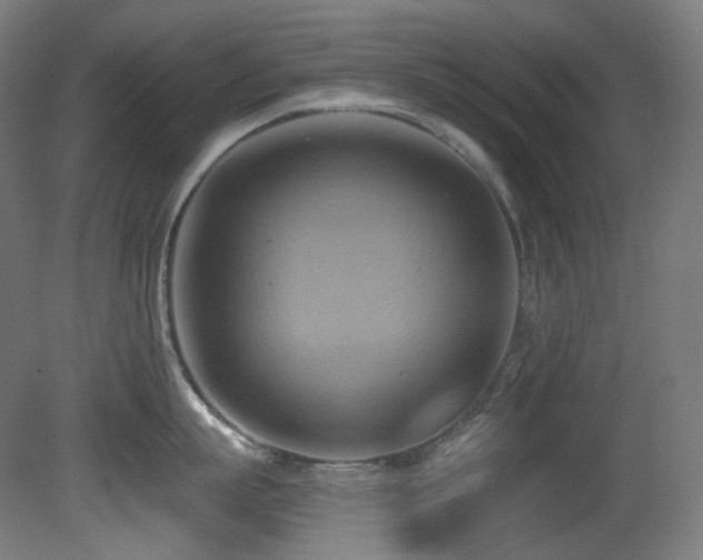X0000081300863200701111423