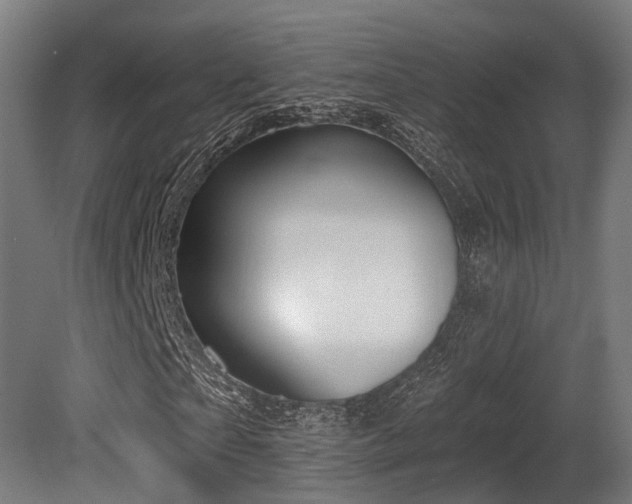 X0000081300865200701111422