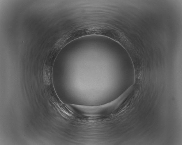X0000081300868200701111422