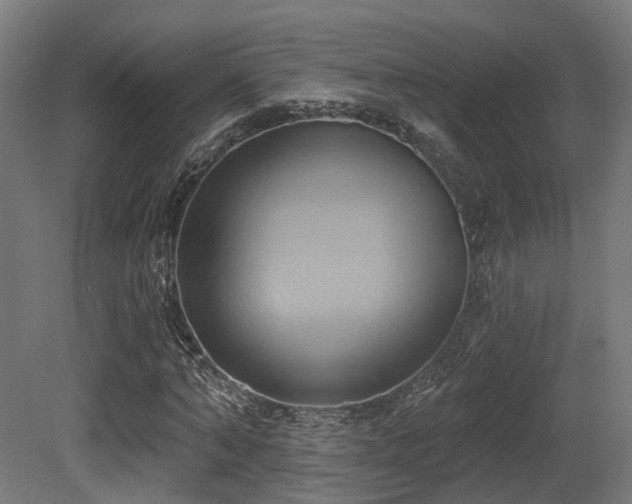 X0000081300870200701111422
