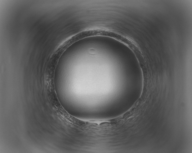 X0000081300872200701111422