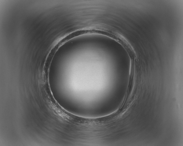 X0000081300876200701111422