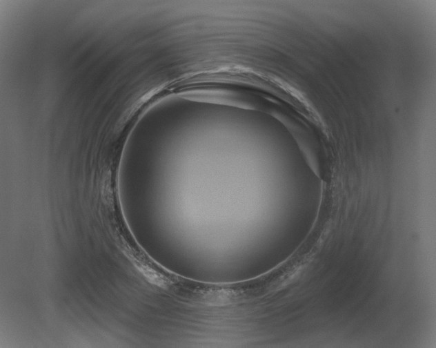 X0000081300881200701111422