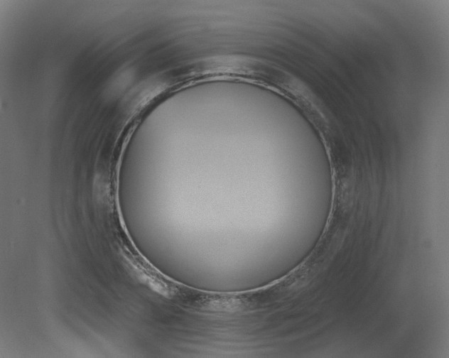 X0000081300882200701111422