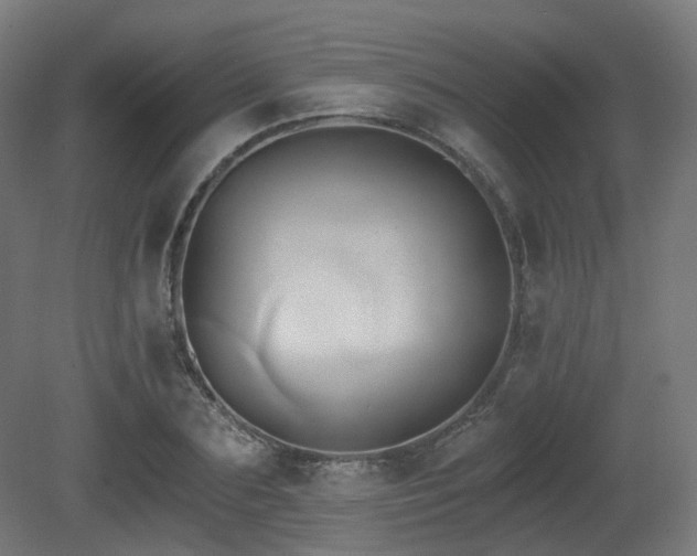 X0000081300883200701111422