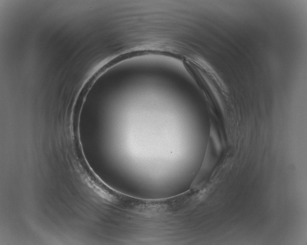 X0000081300884200701111422