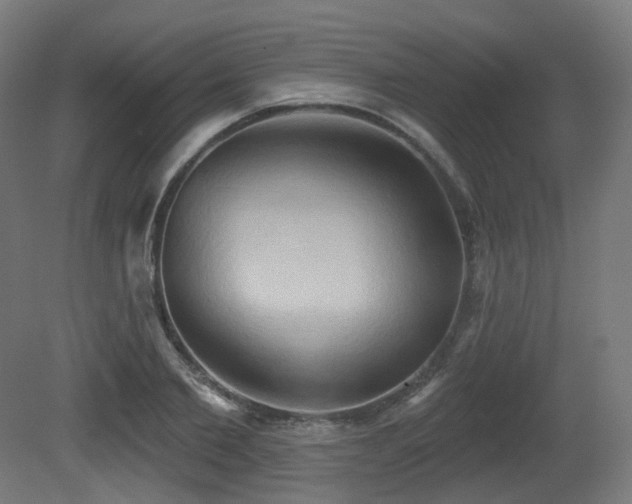 X0000081300885200701111422
