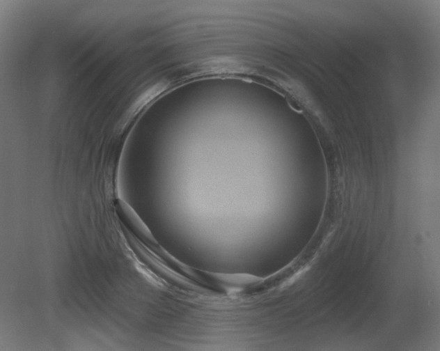 X0000081300889200701111422