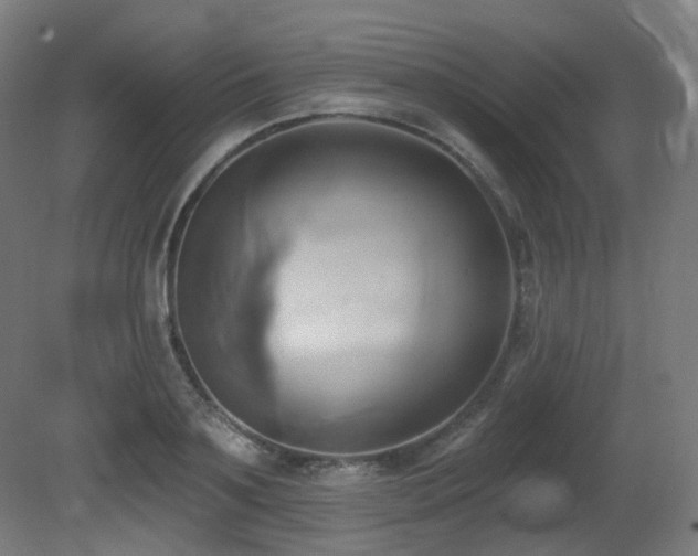 X0000081300891200701111422
