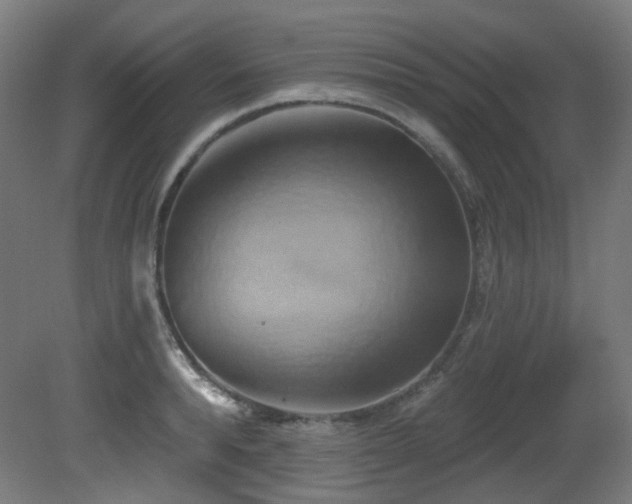 X0000081300896200701111421
