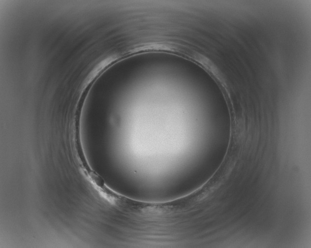 X0000081300898200701111421