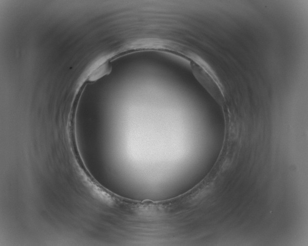 X0000081300901200701111421