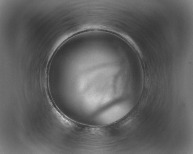 X0000081300903200701111421