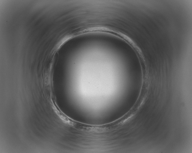 X0000081300905200701111421