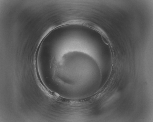 X0000081300907200701111421