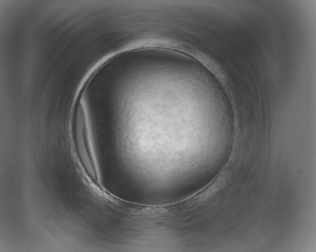 X0000081300912200701111421