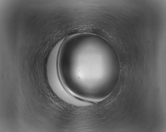 X0000081300913200701111420
