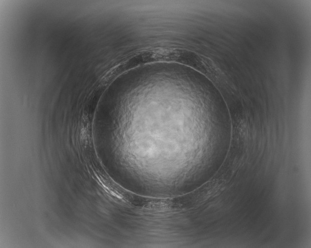 X0000081300914200701111420