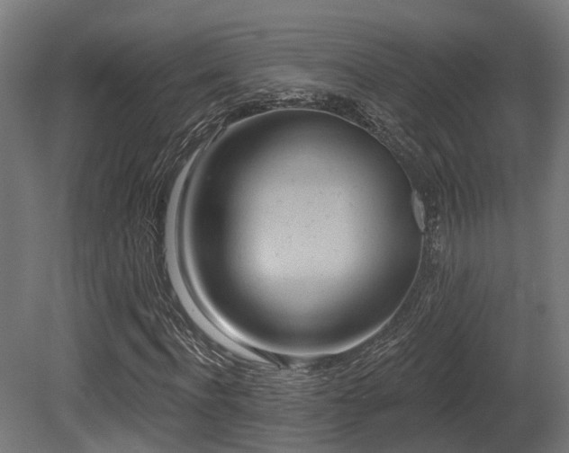X0000081300916200701111420