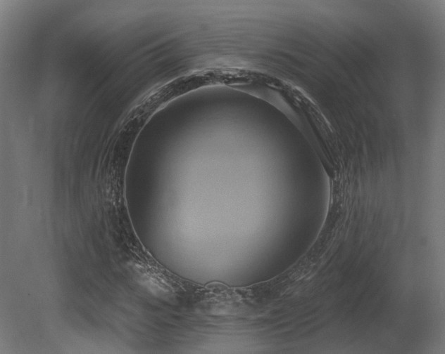 X0000081300919200701111420
