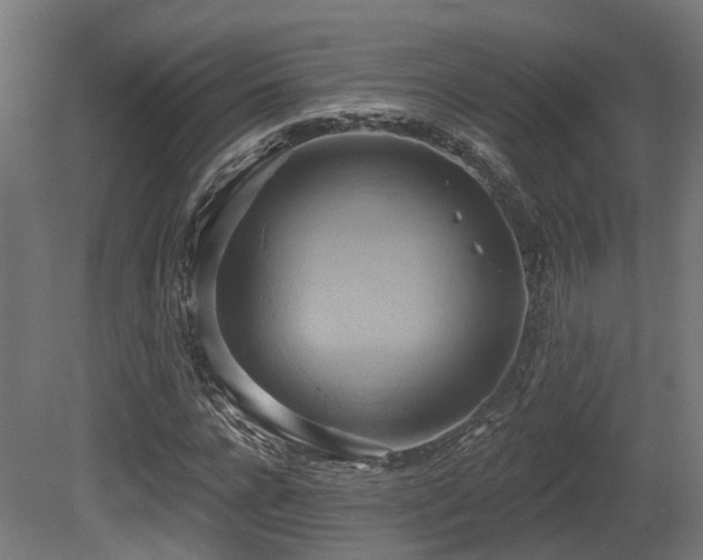X0000081300920200701111420