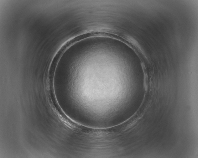 X0000081300924200701111421
