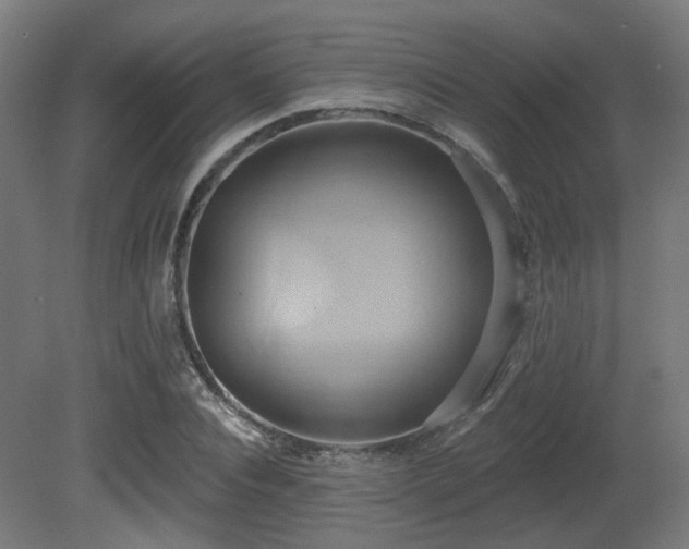 X0000081300928200701111421