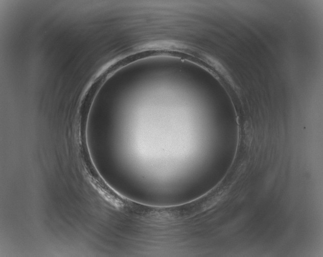 X0000081300931200701111421