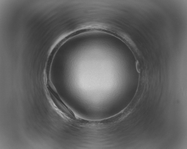 X0000081300936200701111421