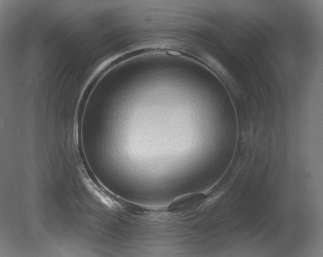 X0000081300940200701111421