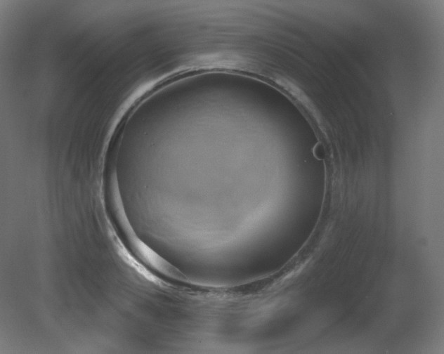 X0000081300941200701111421
