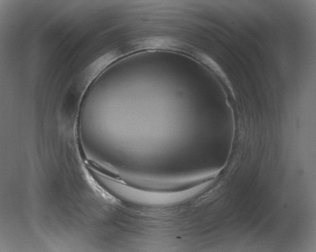 X0000081300946200701111421