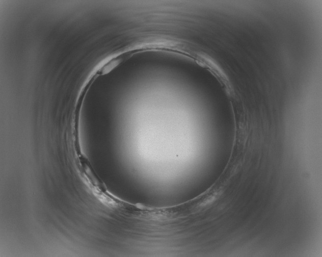 X0000081300948200701111421