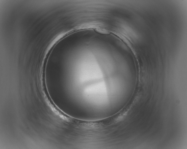 X0000081300949200701111421