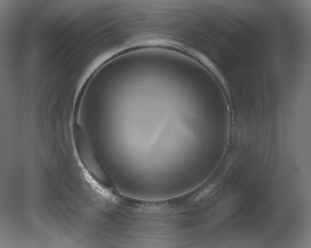 X0000081300951200701111421