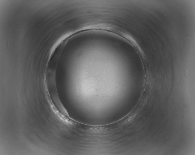 X0000081300952200701111421
