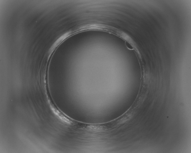 X0000081300954200701111421