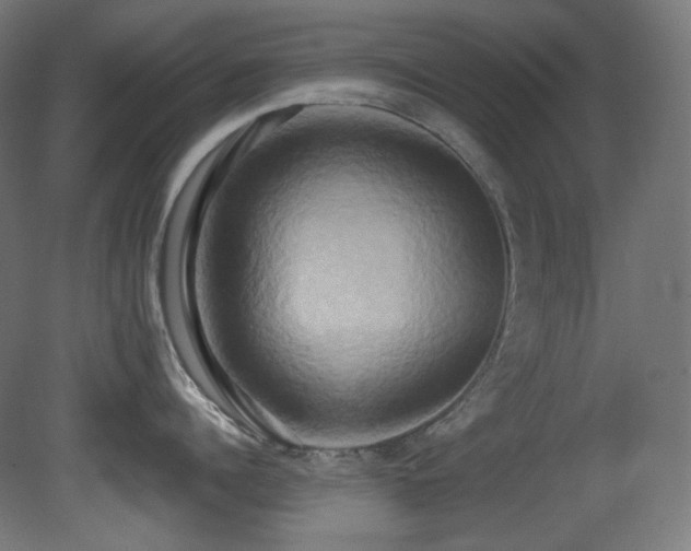 X0000081300960200701111421