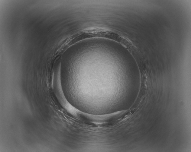 X0000081300965200701111420