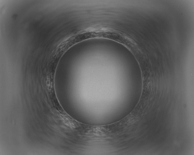 X0000081300966200701111420