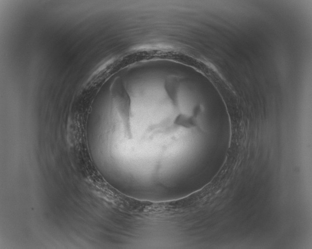 X0000081300967200701111420