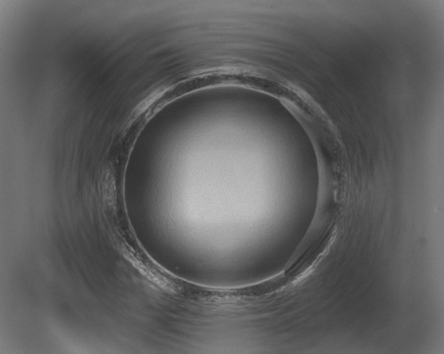 X0000081300969200701111420