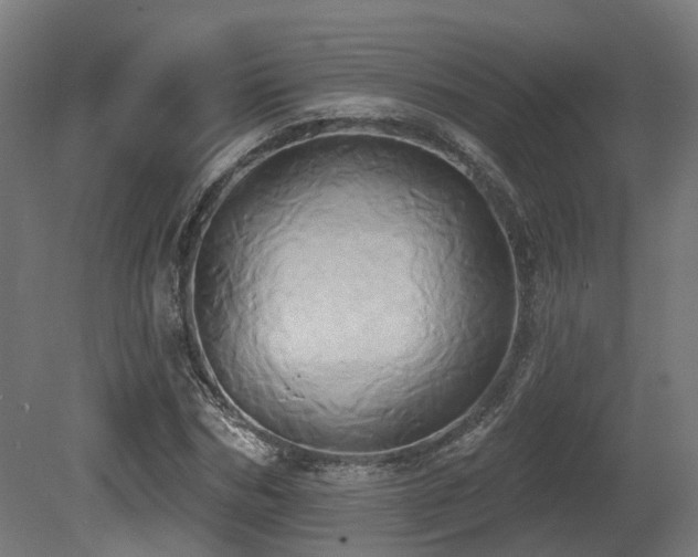 X0000081300970200701111420