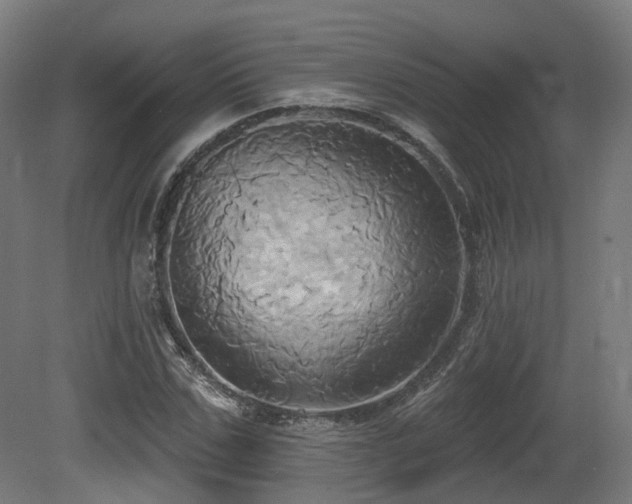 X0000081300971200701111420
