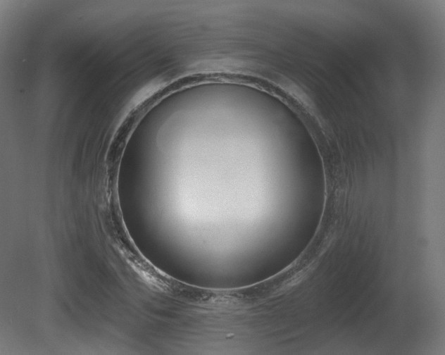 X0000081300974200701111420